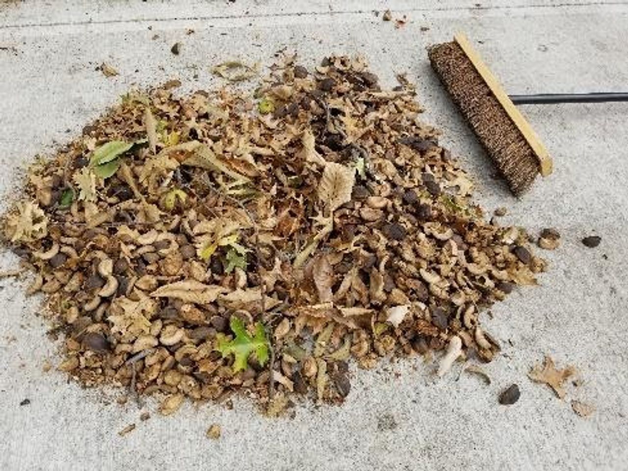 Waste Connections Yard Removal